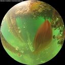 ./images/calvert/underwater/20260611/underwater20260611_064001M.jpg