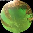 ./images/calvert/underwater/20260611/underwater20260611_064501M.jpg