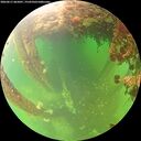 ./images/calvert/underwater/20260611/underwater20260611_065001M.jpg