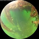 ./images/calvert/underwater/20260611/underwater20260611_065502M.jpg