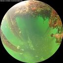 ./images/calvert/underwater/20260611/underwater20260611_070002M.jpg