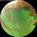 ./images/calvert/underwater/20260611/underwater20260611_070501M.jpg
