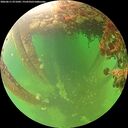 ./images/calvert/underwater/20260611/underwater20260611_071001M.jpg
