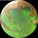 ./images/calvert/underwater/20260611/underwater20260611_072002M.jpg