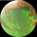 ./images/calvert/underwater/20260611/underwater20260611_072501M.jpg