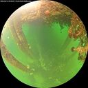 ./images/calvert/underwater/20260611/underwater20260611_074501M.jpg