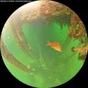 ./images/calvert/underwater/20260611/underwater20260611_075001M.jpg