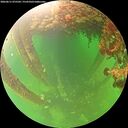 ./images/calvert/underwater/20260611/underwater20260611_075501M.jpg