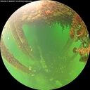 ./images/calvert/underwater/20260611/underwater20260611_080002M.jpg