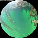 ./images/calvert/underwater/20260611/underwater20260611_082501M.jpg