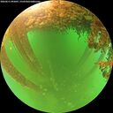 ./images/calvert/underwater/20260611/underwater20260611_092001M.jpg