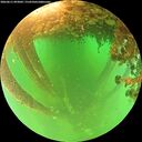 ./images/calvert/underwater/20260611/underwater20260611_093002M.jpg