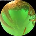 ./images/calvert/underwater/20260611/underwater20260611_093501M.jpg