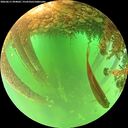 ./images/calvert/underwater/20260611/underwater20260611_094001M.jpg