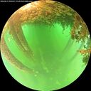 ./images/calvert/underwater/20260611/underwater20260611_094501M.jpg