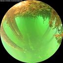 ./images/calvert/underwater/20260611/underwater20260611_095001M.jpg