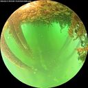 ./images/calvert/underwater/20260611/underwater20260611_095501M.jpg