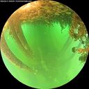 ./images/calvert/underwater/20260611/underwater20260611_100501M.jpg