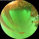 ./images/calvert/underwater/20260611/underwater20260611_101001M.jpg