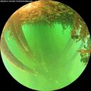 ./images/calvert/underwater/20260611/underwater20260611_101501M.jpg