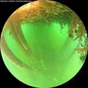 ./images/calvert/underwater/20260611/underwater20260611_102002M.jpg