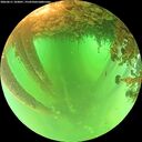 ./images/calvert/underwater/20260611/underwater20260611_103001M.jpg