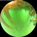 ./images/calvert/underwater/20260611/underwater20260611_103501M.jpg
