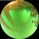 ./images/calvert/underwater/20260611/underwater20260611_104001M.jpg