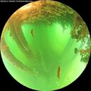 ./images/calvert/underwater/20260611/underwater20260611_104501M.jpg