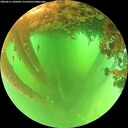 ./images/calvert/underwater/20260611/underwater20260611_105001M.jpg