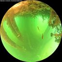 ./images/calvert/underwater/20260611/underwater20260611_105501M.jpg