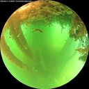 ./images/calvert/underwater/20260611/underwater20260611_110001M.jpg