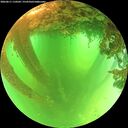 ./images/calvert/underwater/20260611/underwater20260611_110502M.jpg