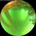 ./images/calvert/underwater/20260611/underwater20260611_111001M.jpg