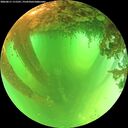 ./images/calvert/underwater/20260611/underwater20260611_111501M.jpg