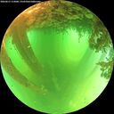 ./images/calvert/underwater/20260611/underwater20260611_112001M.jpg