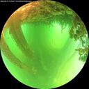 ./images/calvert/underwater/20260611/underwater20260611_112501M.jpg