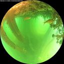 ./images/calvert/underwater/20260611/underwater20260611_113001M.jpg