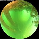 ./images/calvert/underwater/20260611/underwater20260611_113501M.jpg