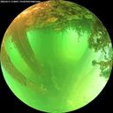 ./images/calvert/underwater/20260611/underwater20260611_114001M.jpg