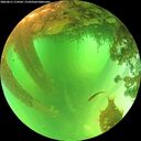 ./images/calvert/underwater/20260611/underwater20260611_114502M.jpg