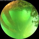 ./images/calvert/underwater/20260611/underwater20260611_115001M.jpg