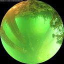 ./images/calvert/underwater/20260611/underwater20260611_115501M.jpg