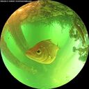 ./images/calvert/underwater/20260611/underwater20260611_120001M.jpg