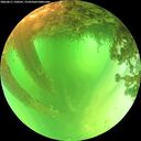 ./images/calvert/underwater/20260611/underwater20260611_120501M.jpg