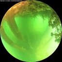./images/calvert/underwater/20260611/underwater20260611_121001M.jpg