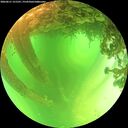 ./images/calvert/underwater/20260611/underwater20260611_121501M.jpg