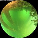 ./images/calvert/underwater/20260611/underwater20260611_122001M.jpg