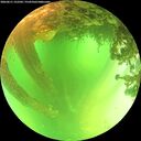 ./images/calvert/underwater/20260611/underwater20260611_122501M.jpg