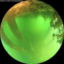 ./images/calvert/underwater/20260611/underwater20260611_123001M.jpg